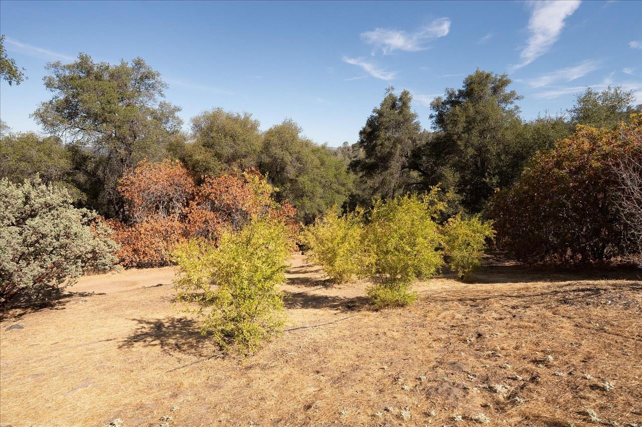 3279 Quail Run Rd, Mariposa, CA 95338