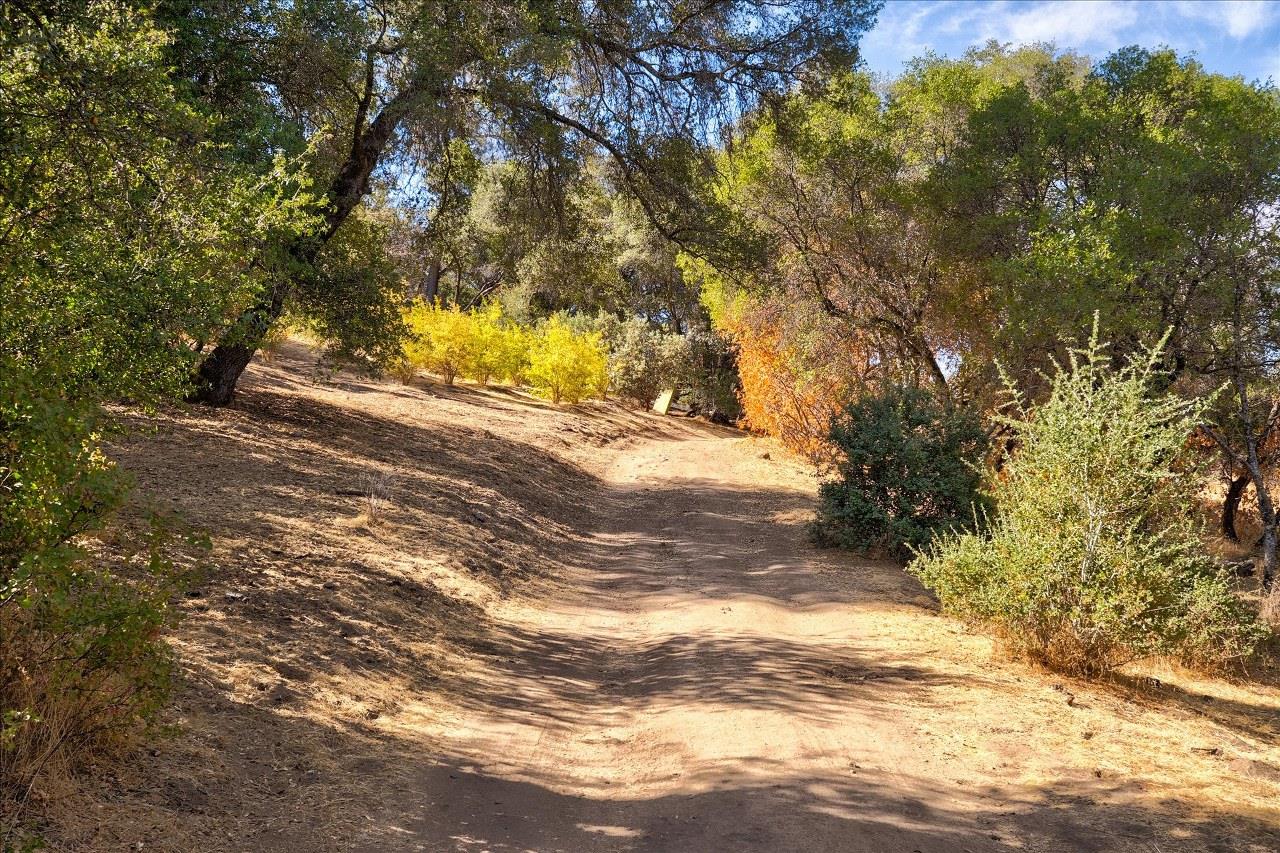 3279 Quail Run Rd, Mariposa, CA 95338