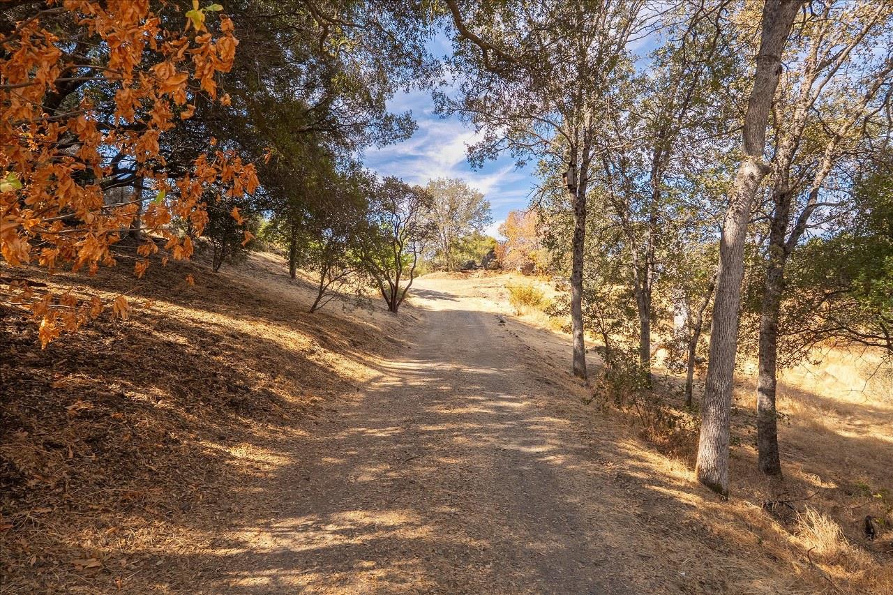 3279 Quail Run Rd, Mariposa, CA 95338