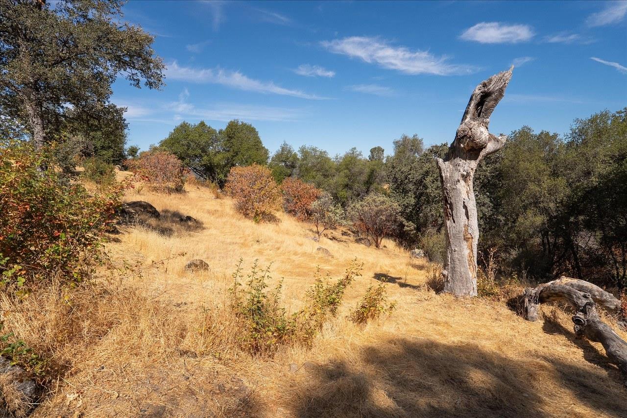 3279 Quail Run Rd, Mariposa, CA 95338