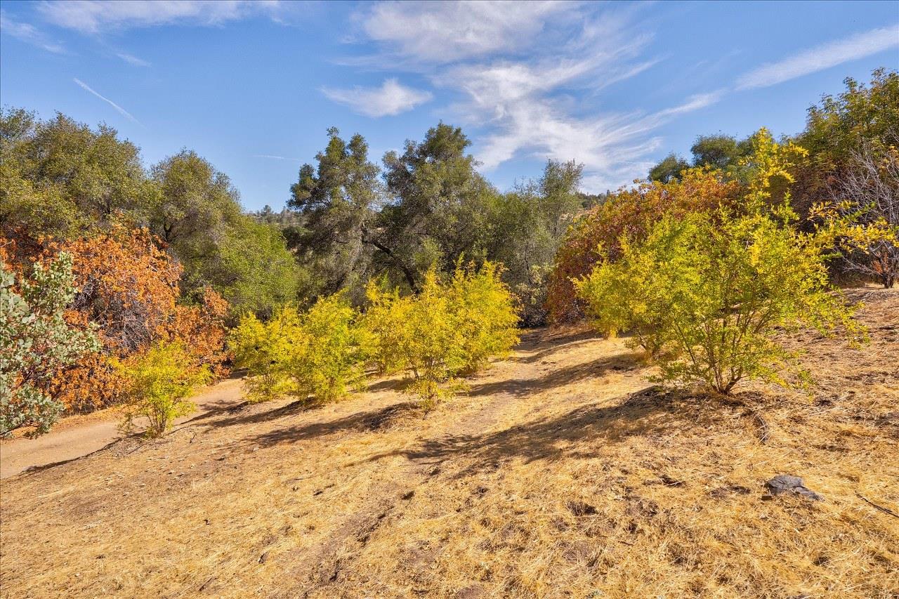 3279 Quail Run Rd, Mariposa, CA 95338