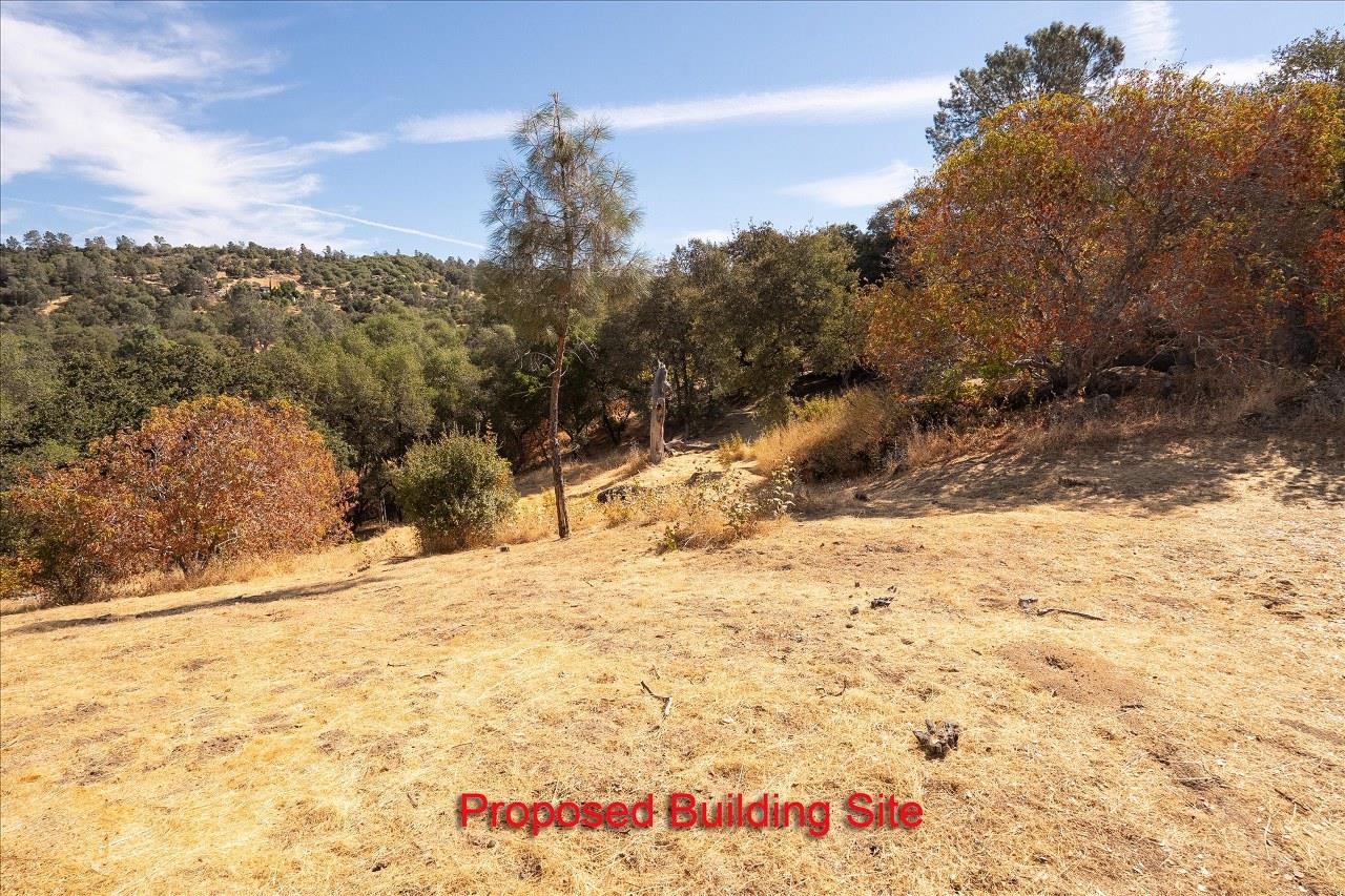 3279 Quail Run Rd, Mariposa, CA 95338