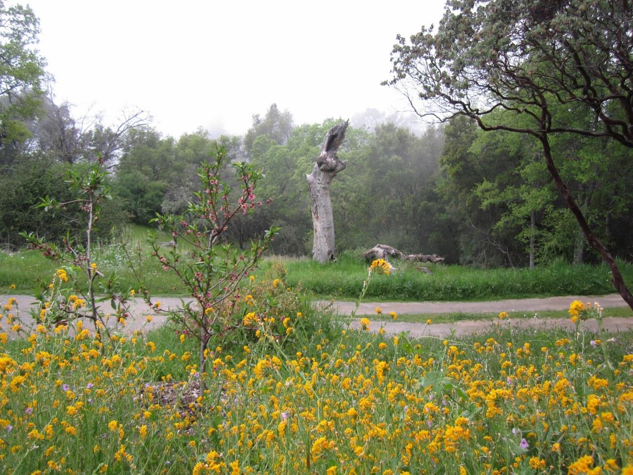 3279 Quail Run Rd, Mariposa, CA 95338