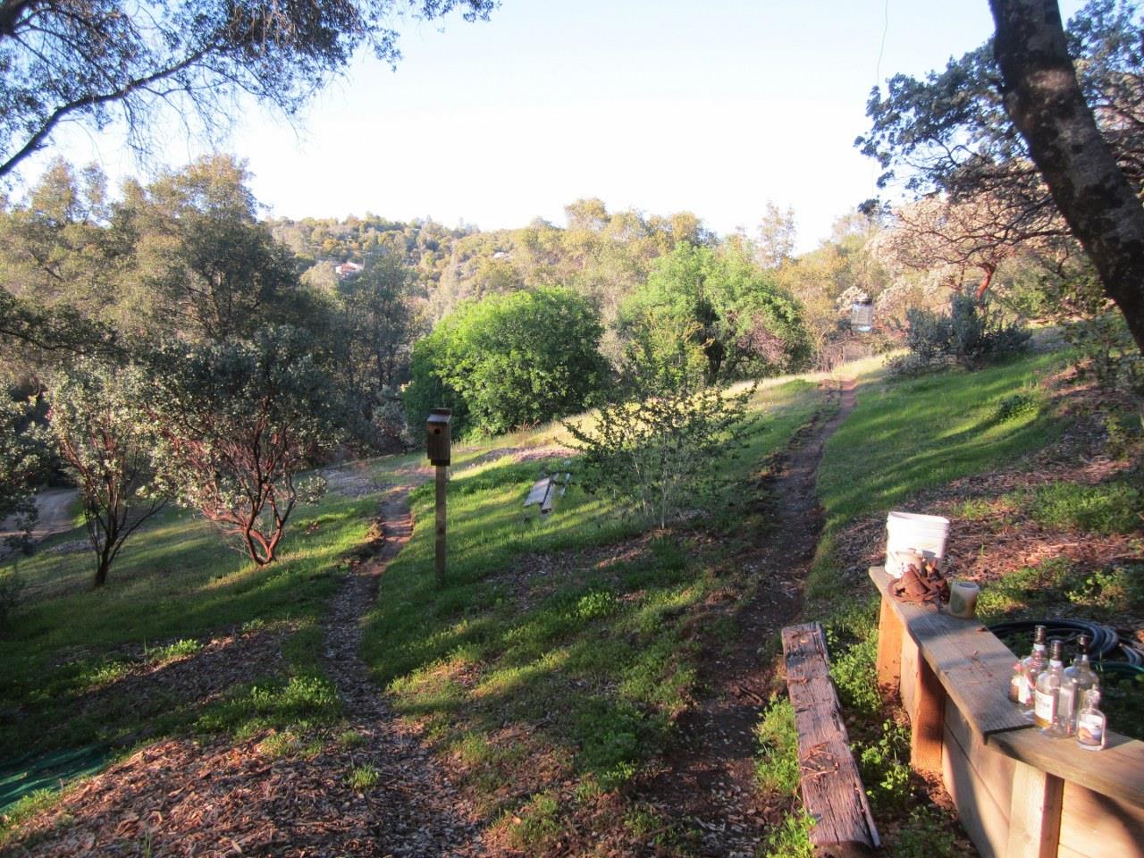 3279 Quail Run Rd, Mariposa, CA 95338