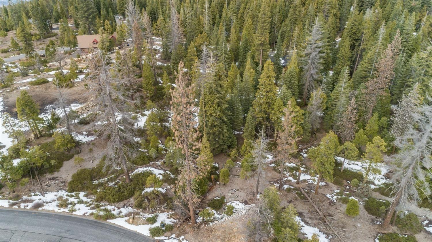 39897 Fawn Lilly, Shaver Lake, CA 93664