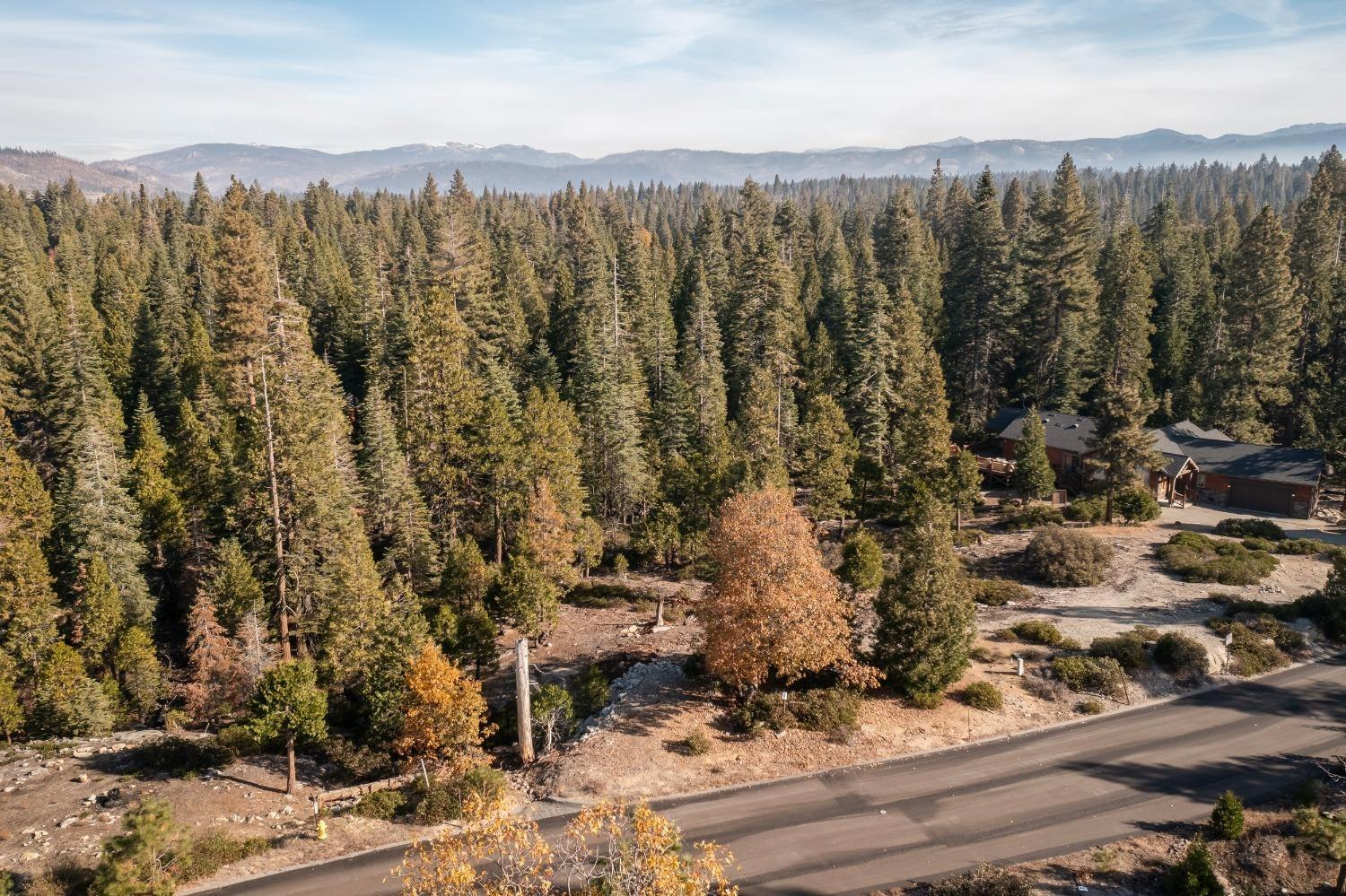 39897 Fawn Lilly, Shaver Lake, CA 93664