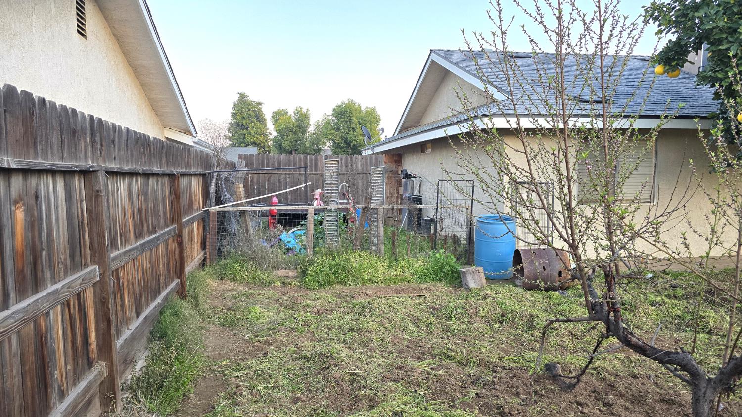 155 N Haney Ave, Reedley, CA 93654