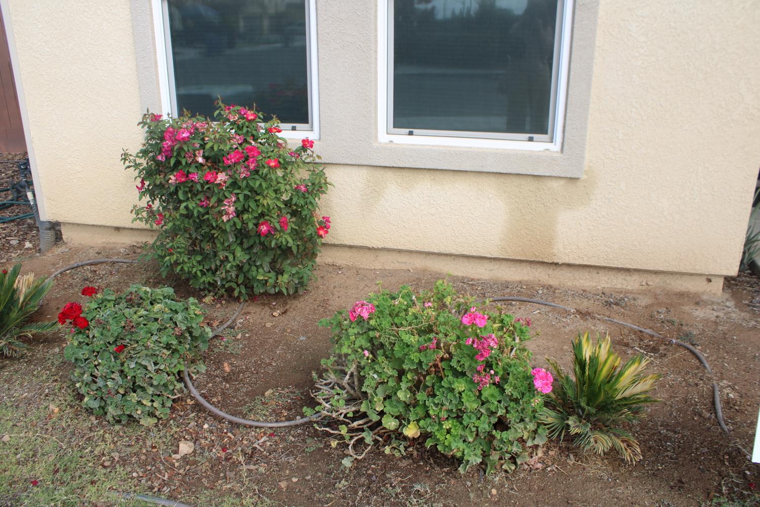 5586 E Saginaw Way, Fresno, CA 93722