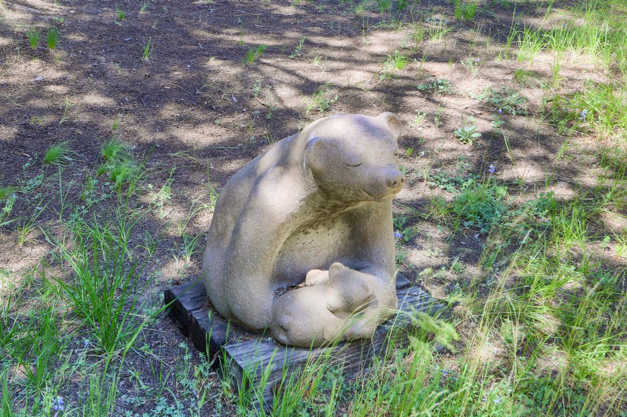 8067 Chilnualna Falls Rd, Wawona, CA 95389