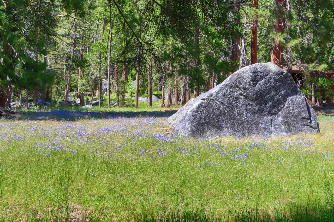 8067 Chilnualna Falls Rd, Wawona, CA 95389