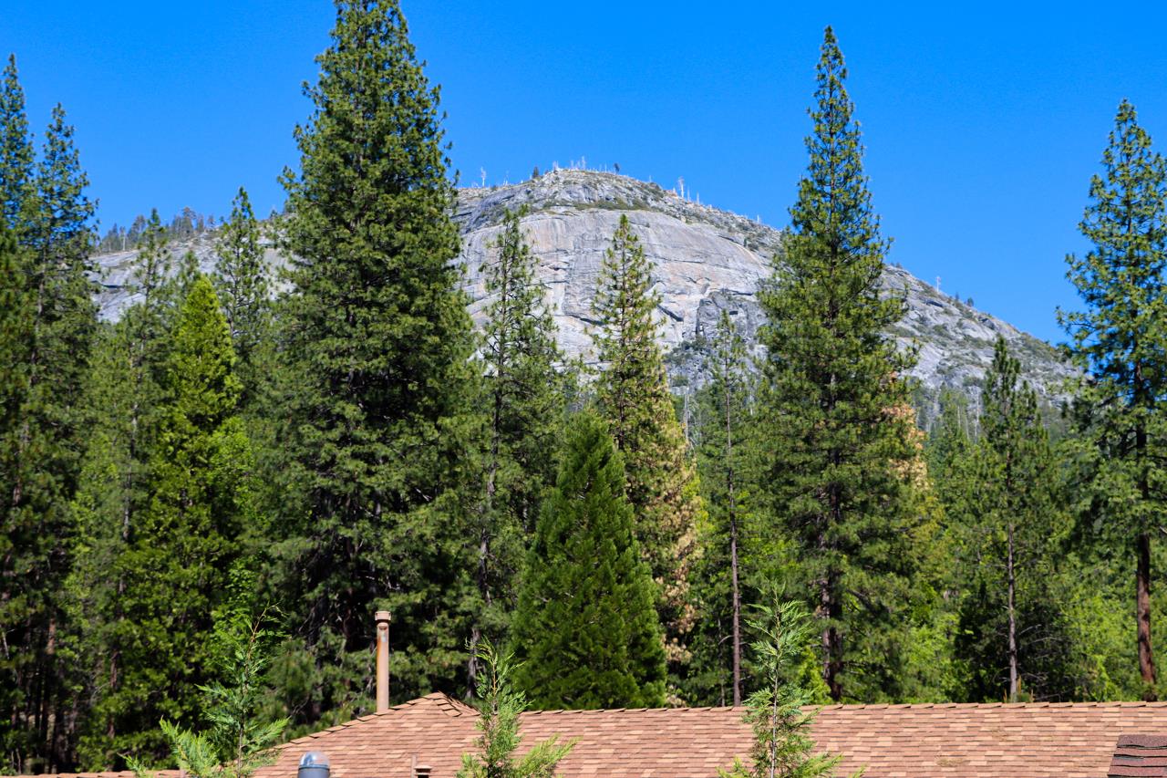 8067 Chilnualna Falls Rd, Wawona, CA 95389