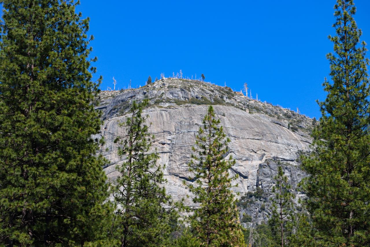 8067 Chilnualna Falls Rd, Wawona, CA 95389