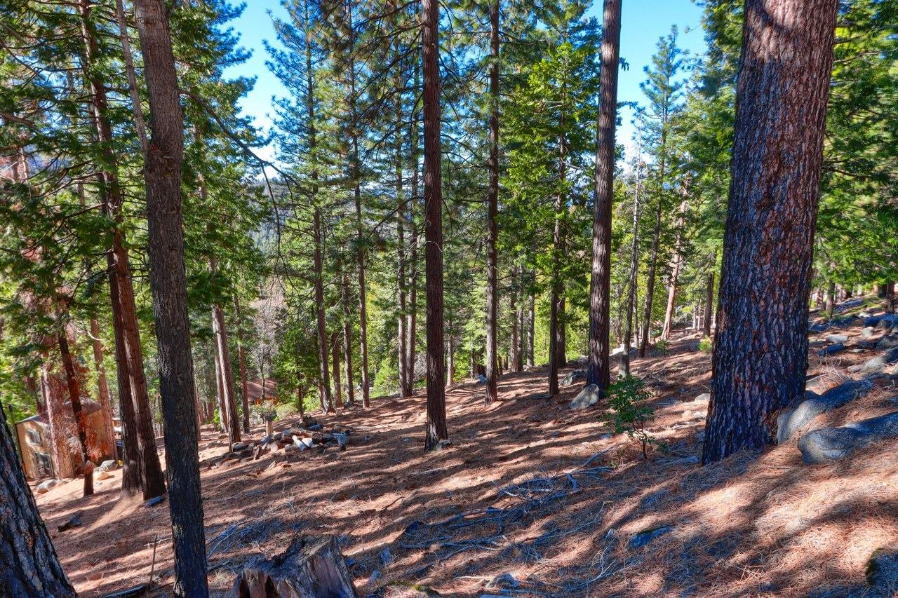 7349 7473 Yosemite Park Way, Yosemite West, CA 95389