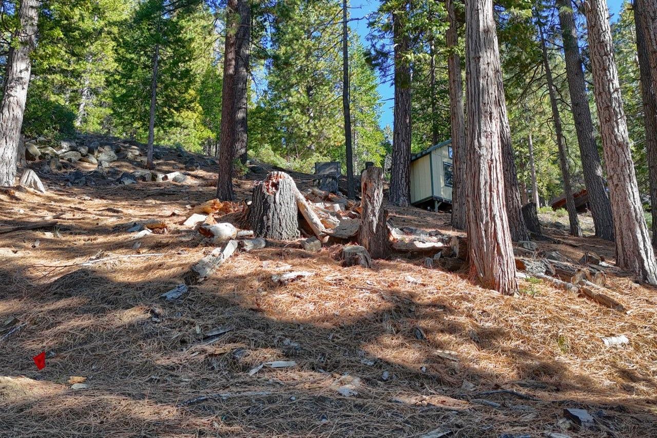 7349 7473 Yosemite Park Way, Yosemite West, CA 95389