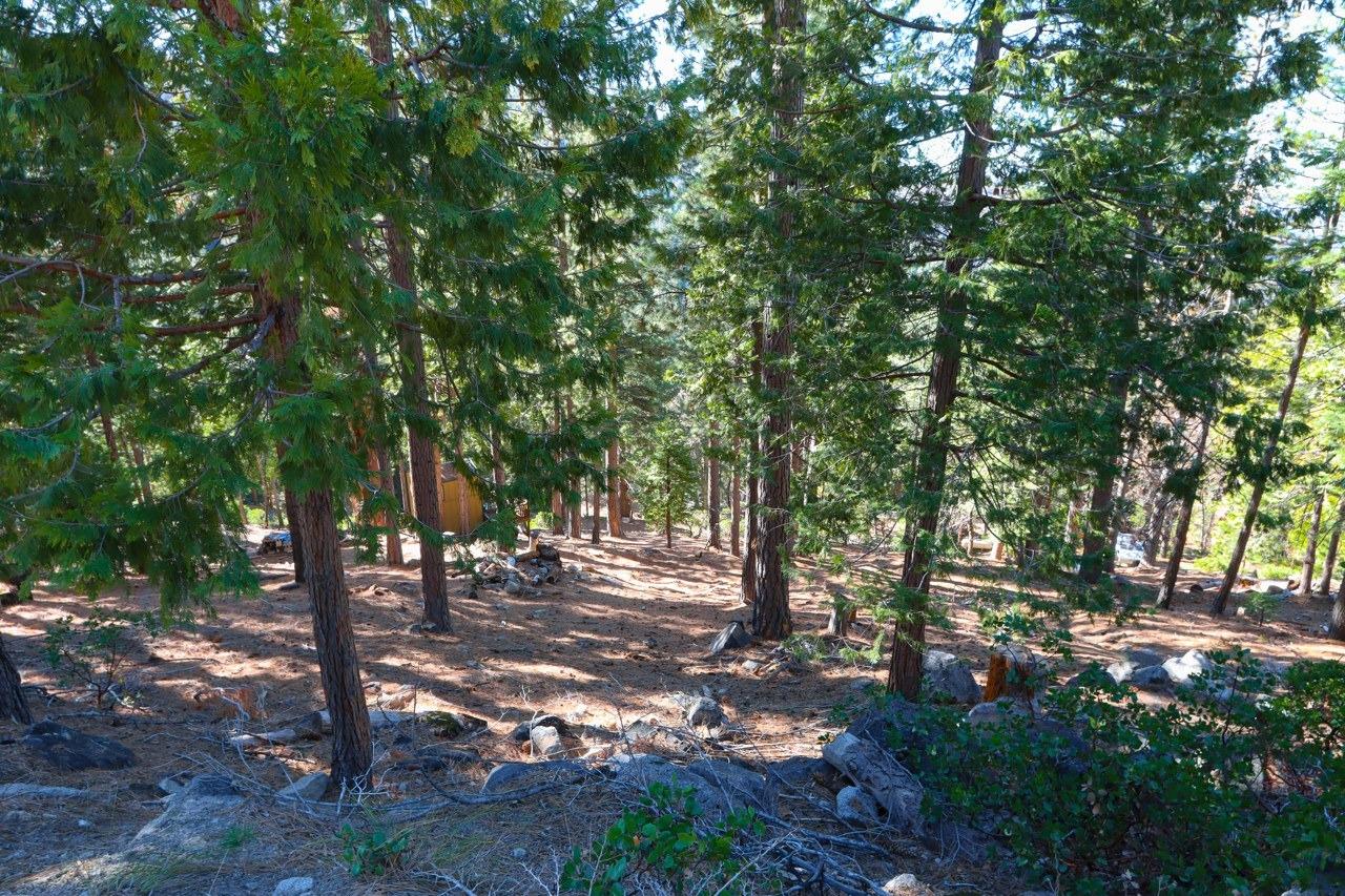 7349 7473 Yosemite Park Way, Yosemite West, CA 95389