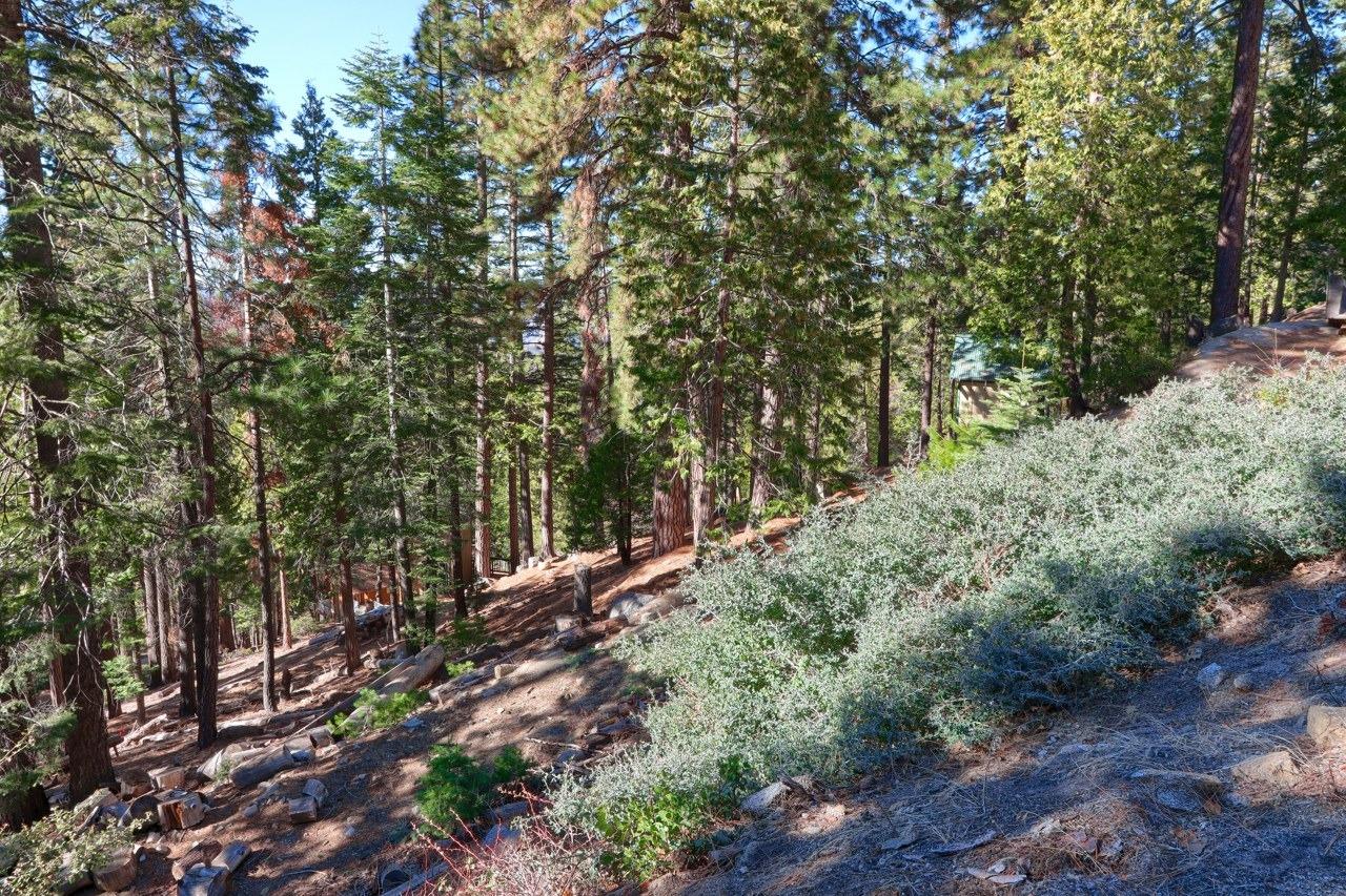7349 7473 Yosemite Park Way, Yosemite West, CA 95389