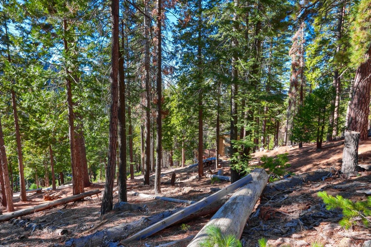 7349 7473 Yosemite Park Way, Yosemite West, CA 95389