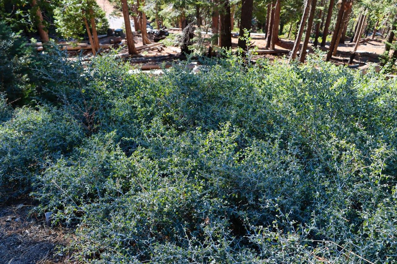 7349 7473 Yosemite Park Way, Yosemite West, CA 95389