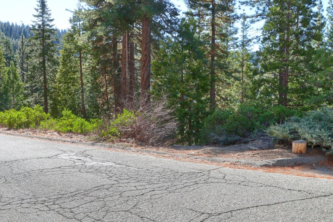 7349 7473 Yosemite Park Way, Yosemite West, CA 95389