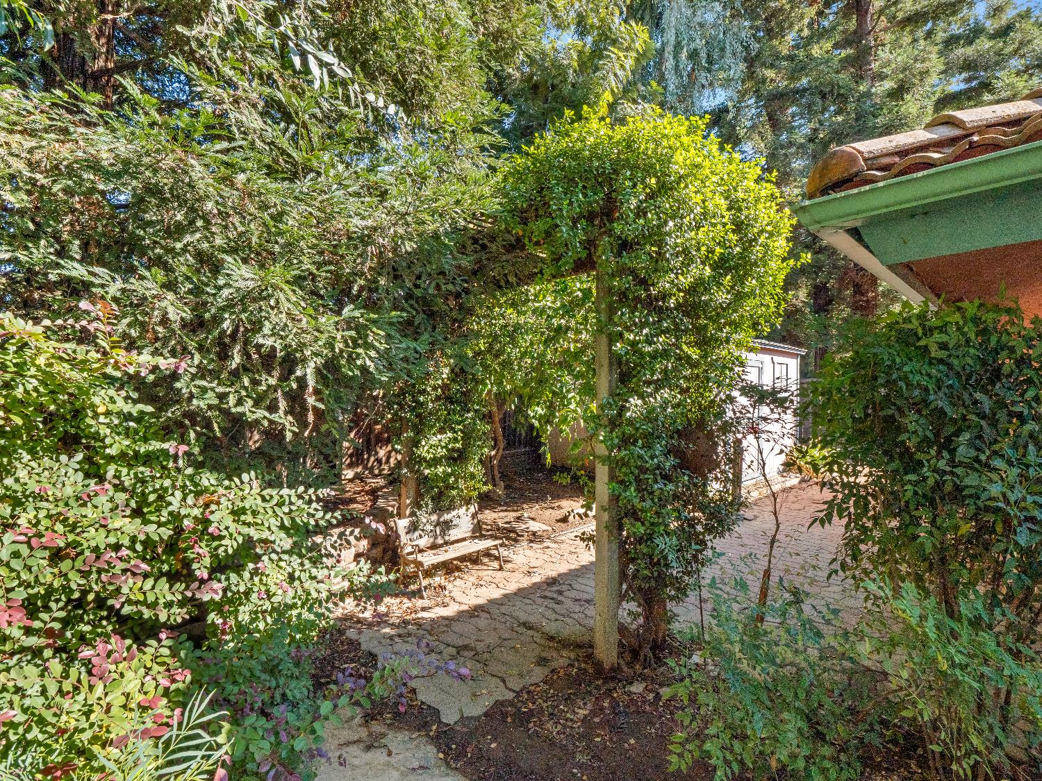 7258 N Pacific, Fresno, CA 93711