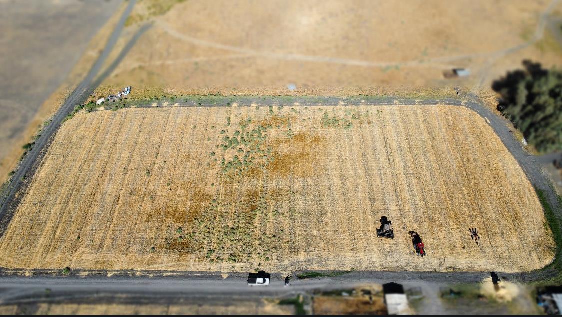 0 0 Reynolds Ave, Dos Palos, CA 93620