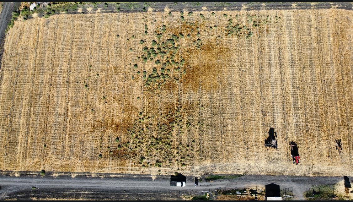 0 0 Reynolds Ave, Dos Palos, CA 93620