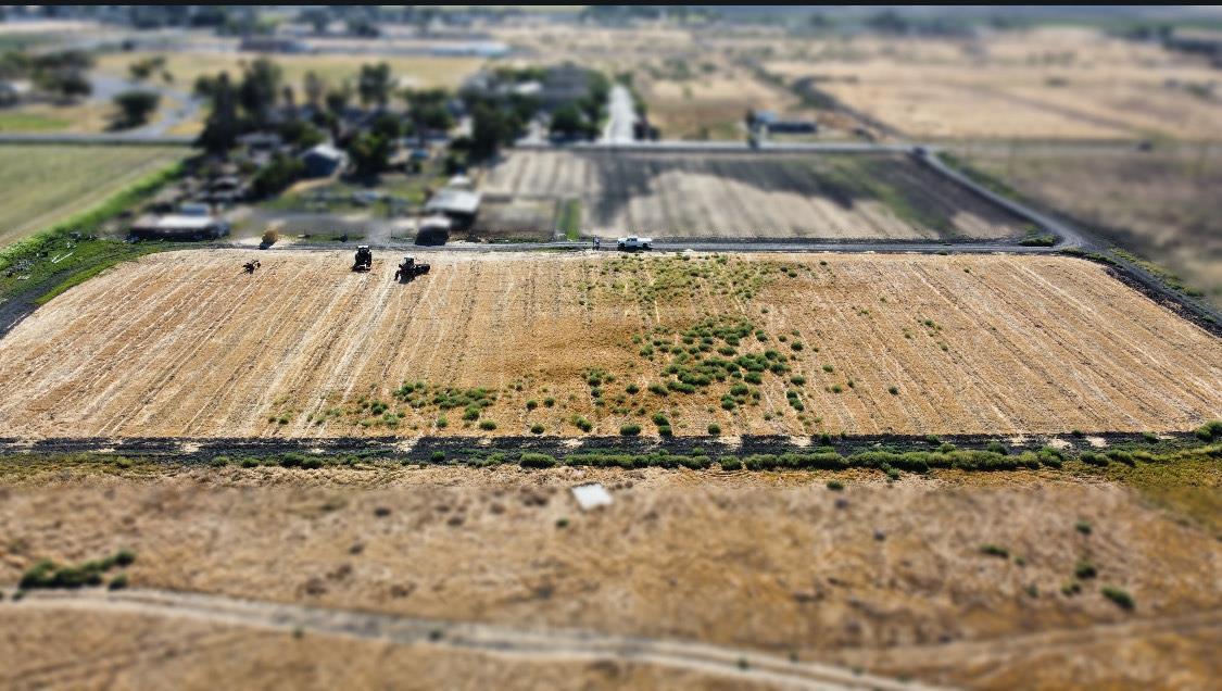 0 0 Reynolds Ave, Dos Palos, CA 93620