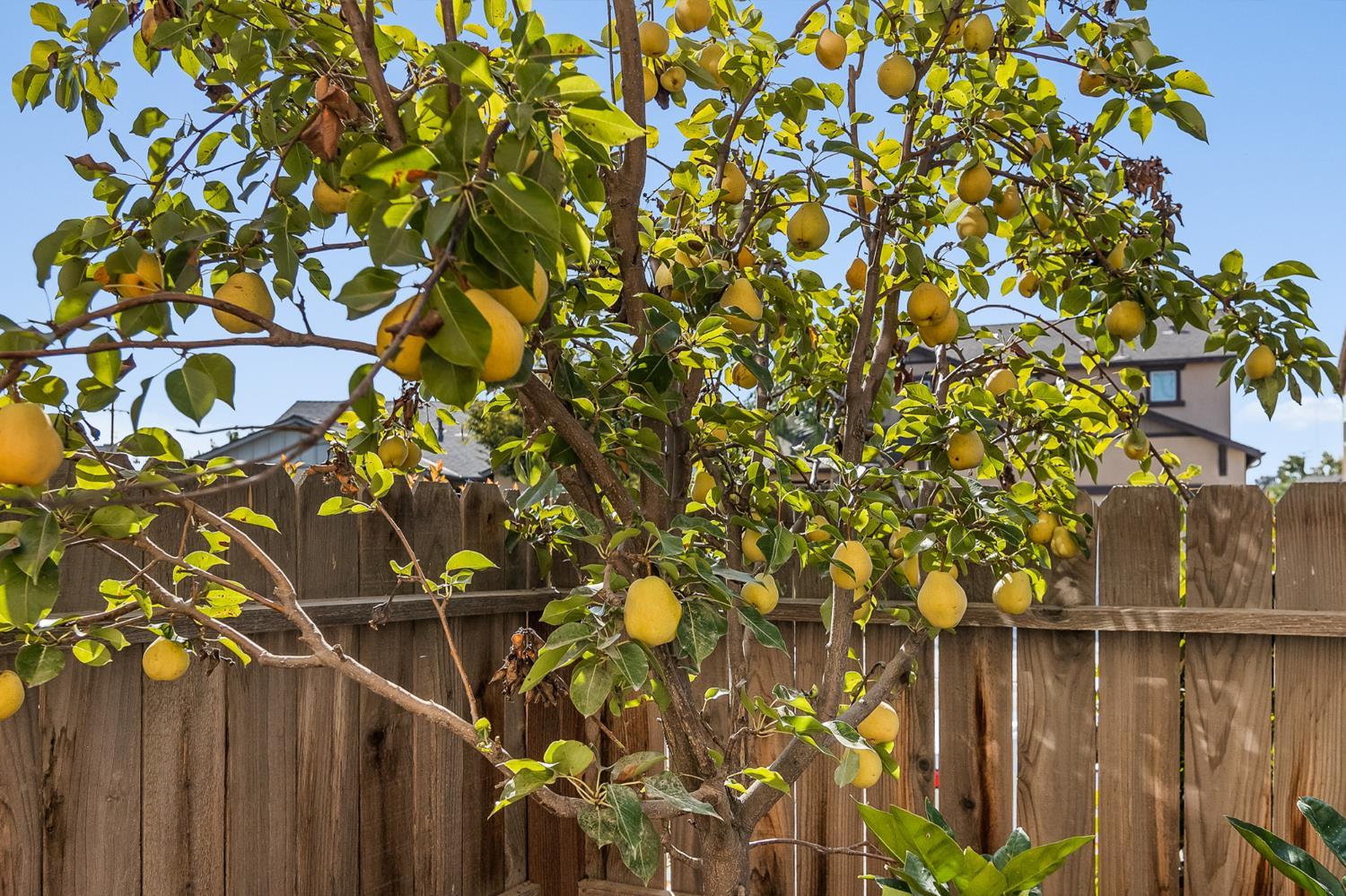 6888 W Parr, Fresno, CA 93722