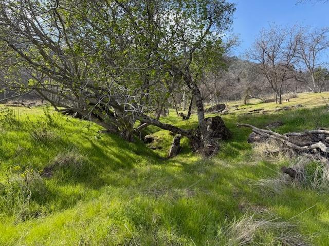28733 Burrough Valley Rd, Tollhouse, CA 93667