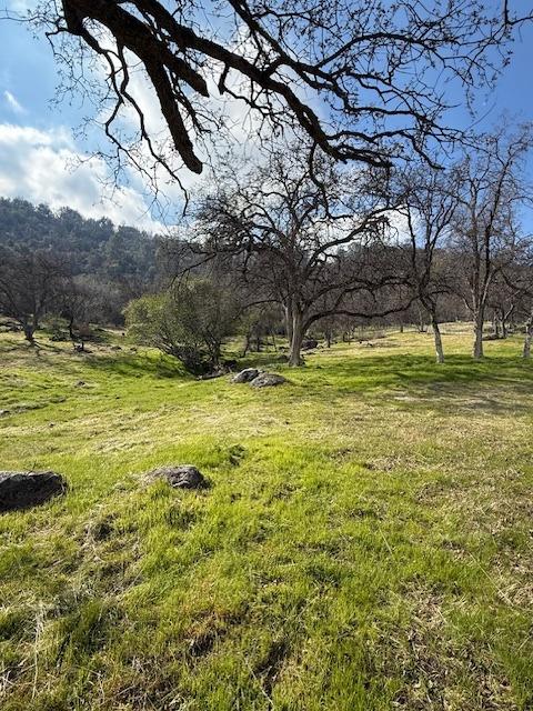28733 Burrough Valley Rd, Tollhouse, CA 93667