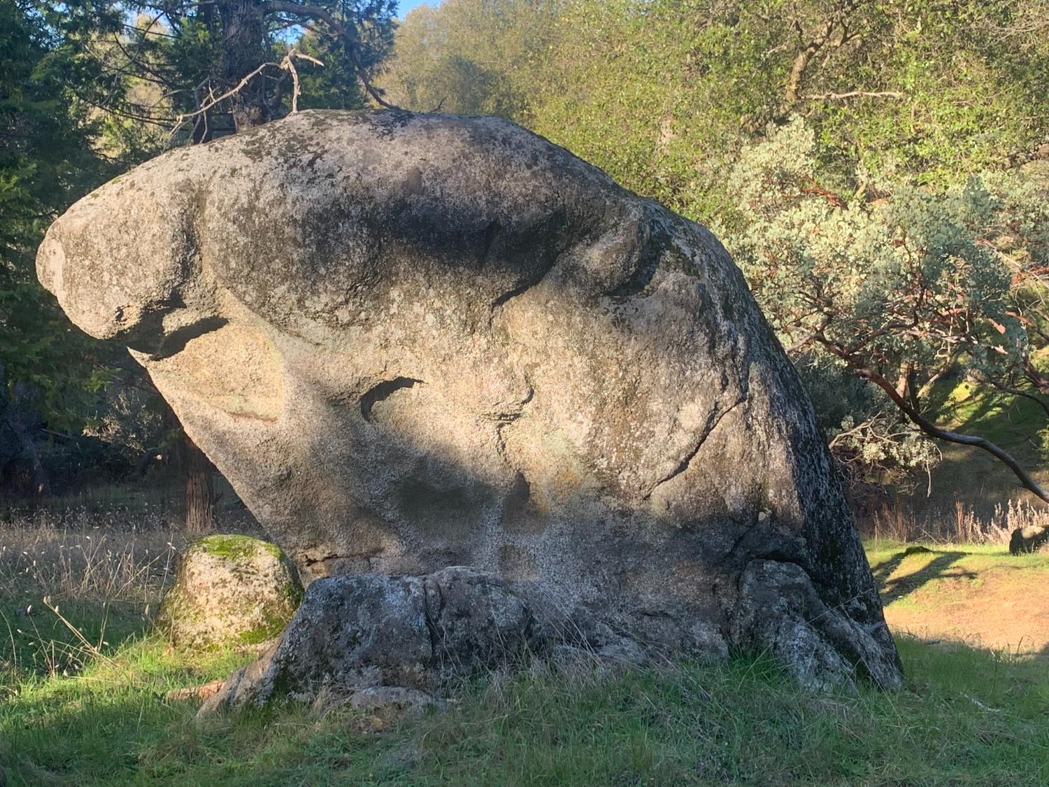 39516 John West Rd, Oakhurst, CA 93644