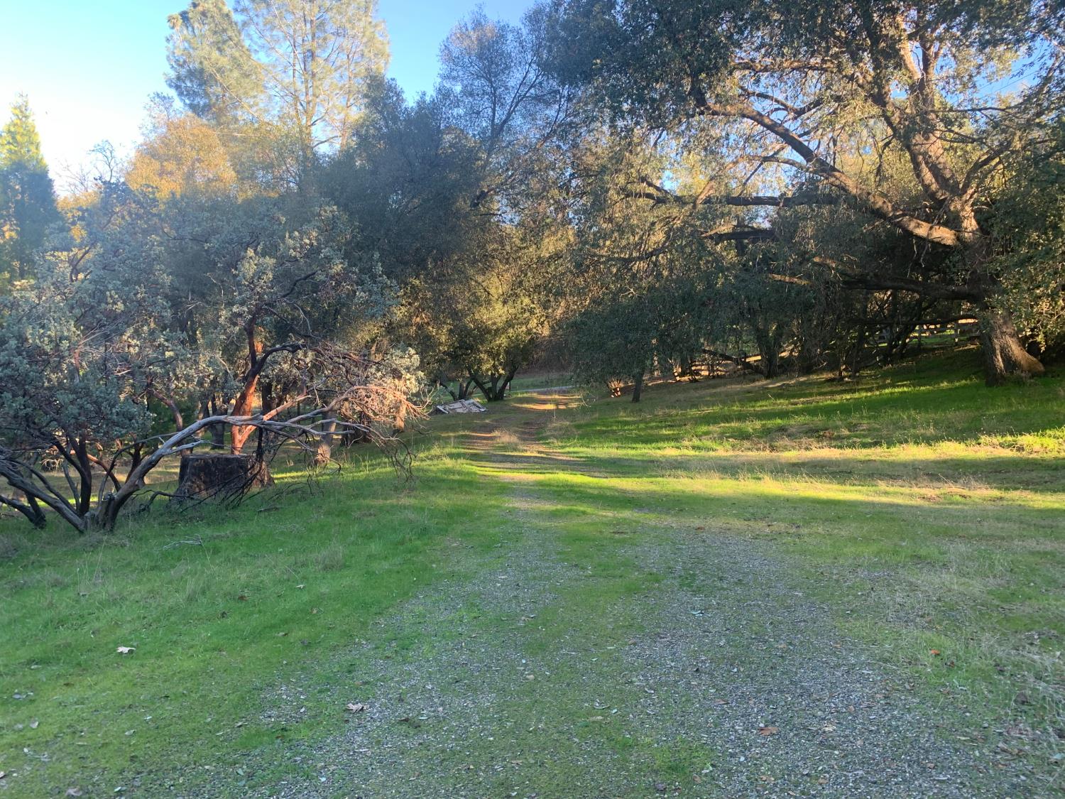 39516 John West Rd, Oakhurst, CA 93644