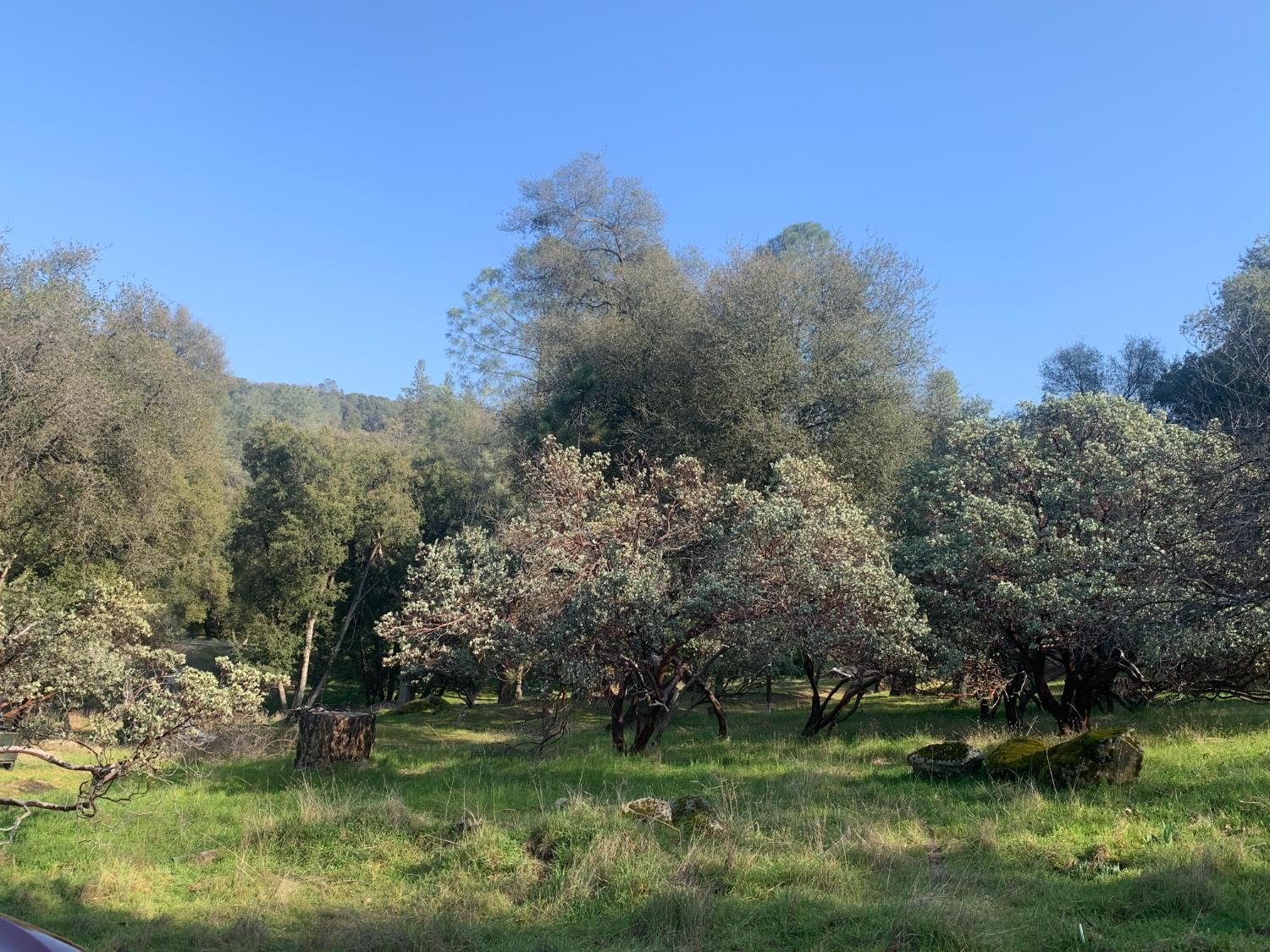 39516 John West Rd, Oakhurst, CA 93644