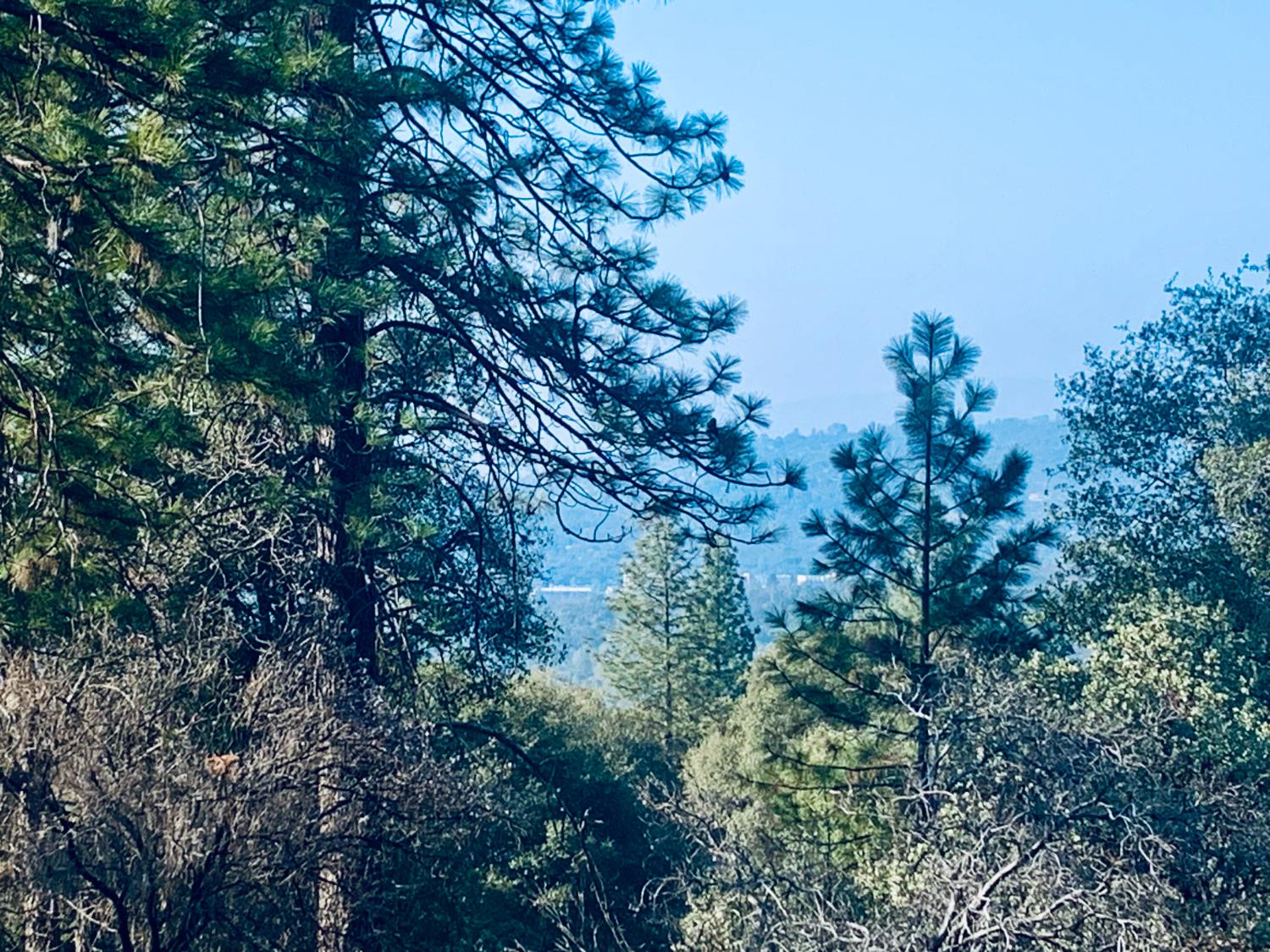 39516 John West Rd, Oakhurst, CA 93644