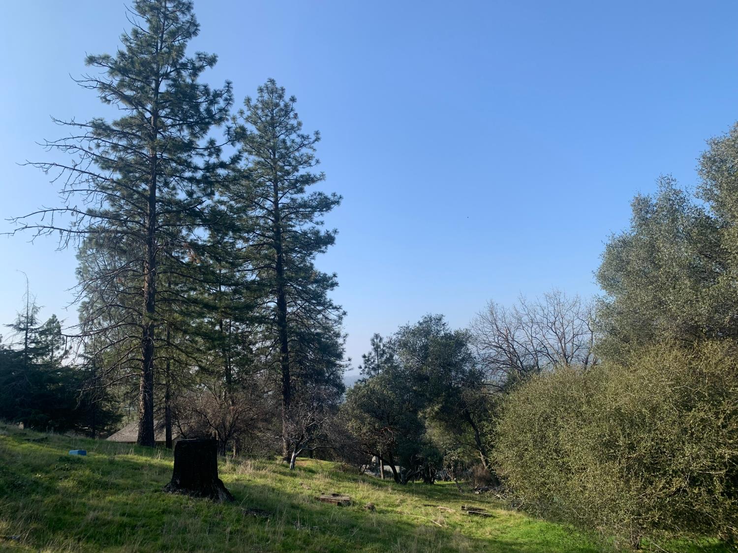 39516 John West Rd, Oakhurst, CA 93644