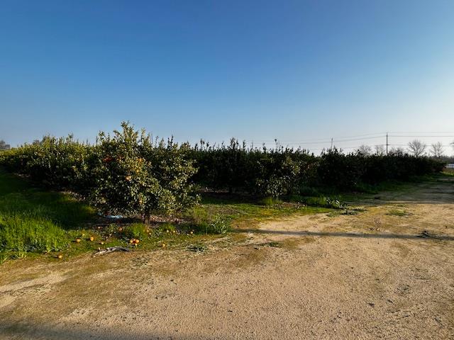 1412 S Temperance Ave, Fresno, CA 93727