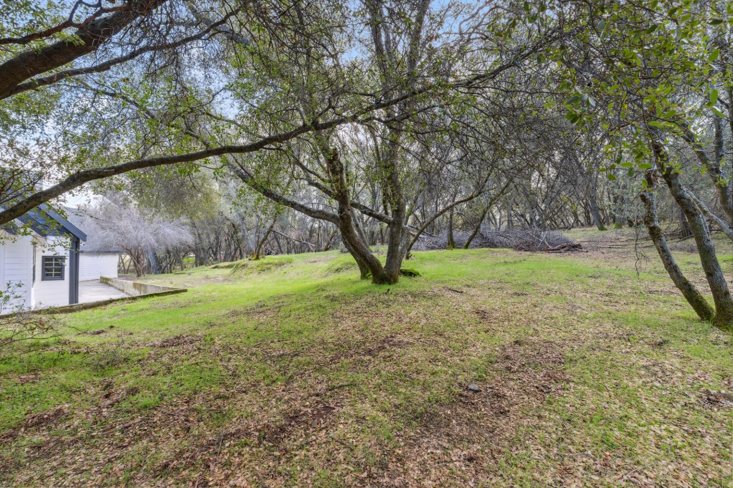 47684 Willow Pond Way, Coarsegold, CA 93614