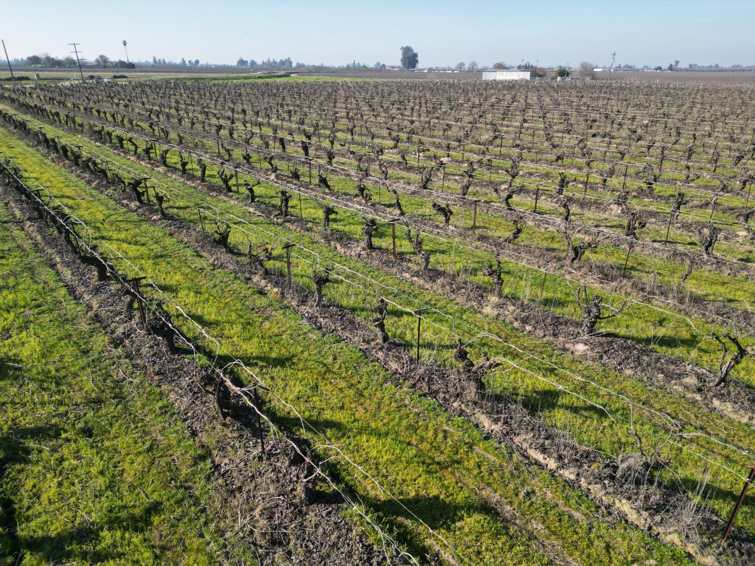 11227 S Academy Ave, Selma, CA 93662