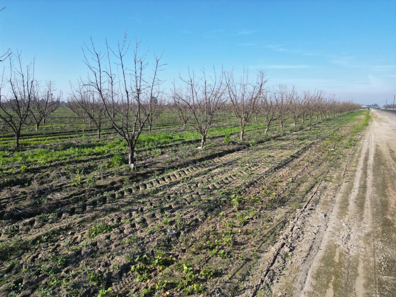 11227 S Academy Ave, Selma, CA 93662