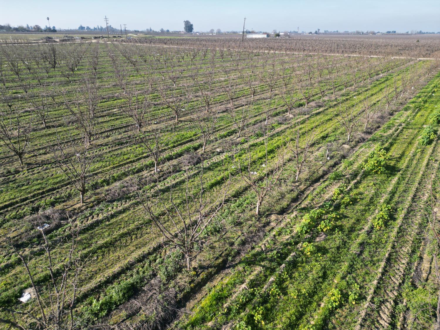 11227 S Academy Ave, Selma, CA 93662