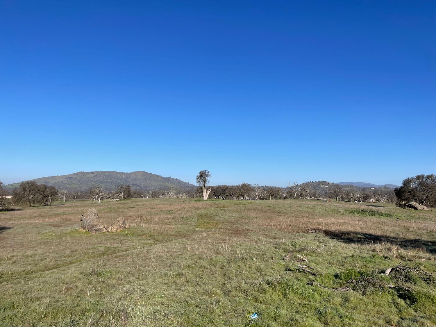 2187 Tinkers Penny Ln, Catheys Valley, CA 95306