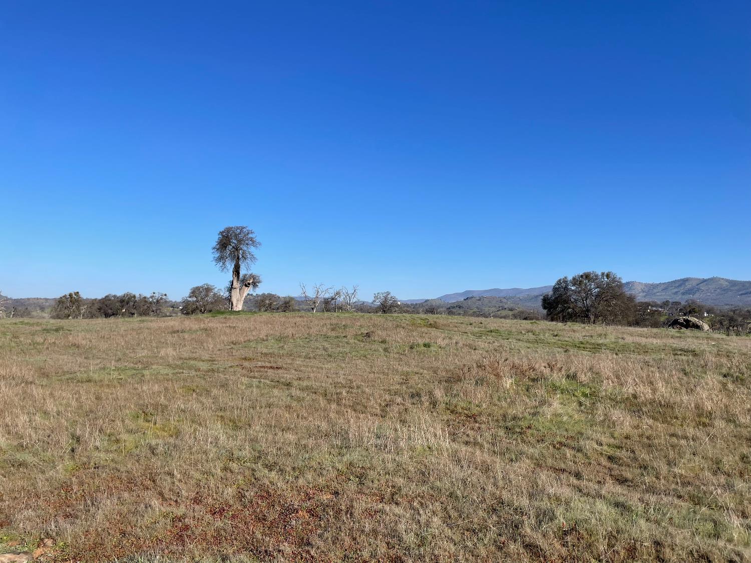 2187 Tinkers Penny Ln, Catheys Valley, CA 95306