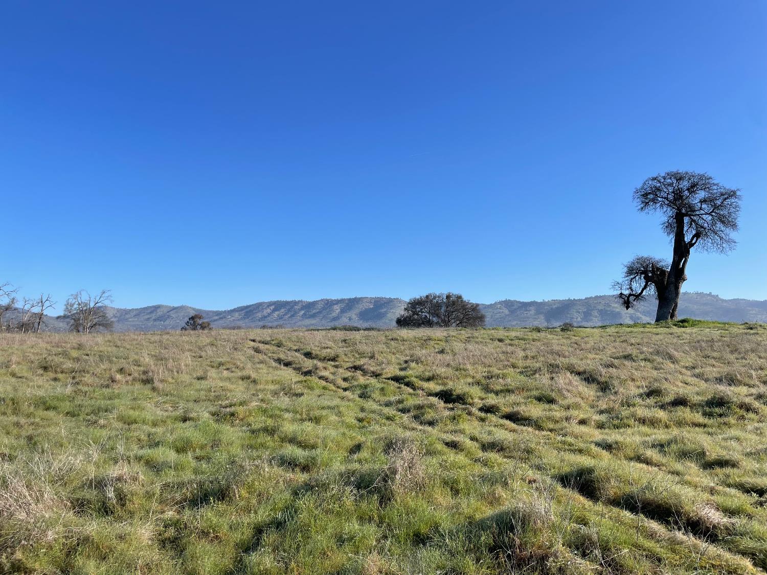 2187 Tinkers Penny Ln, Catheys Valley, CA 95306