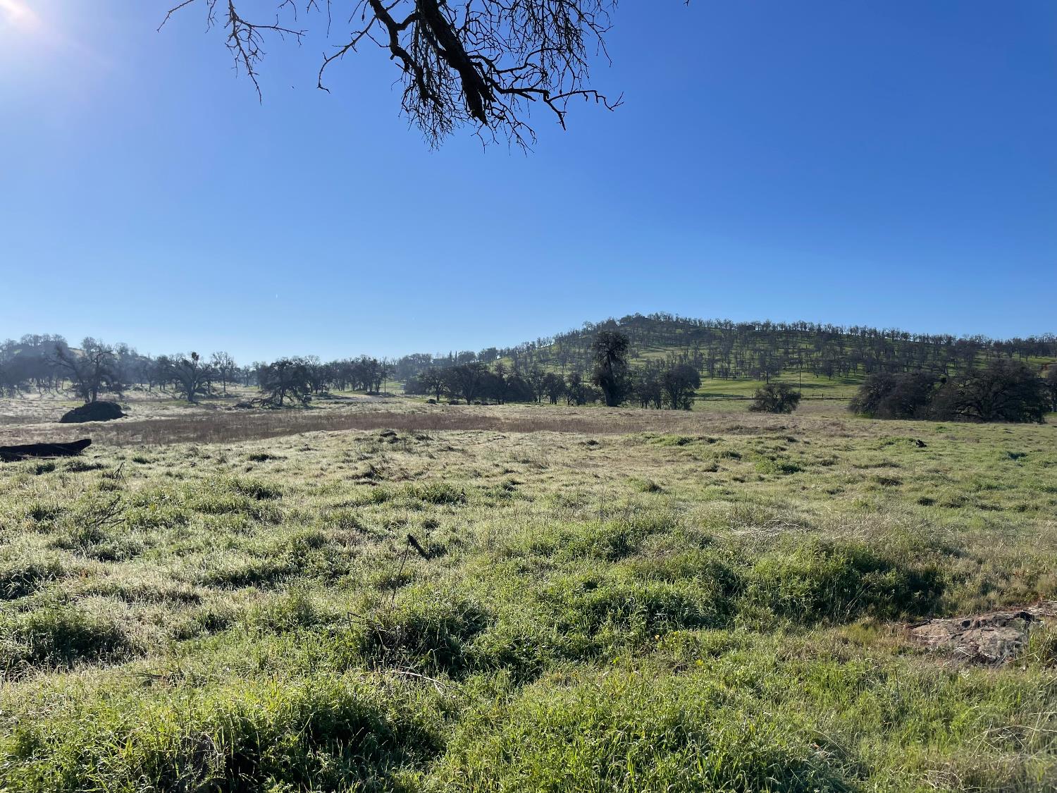 2187 Tinkers Penny Ln, Catheys Valley, CA 95306