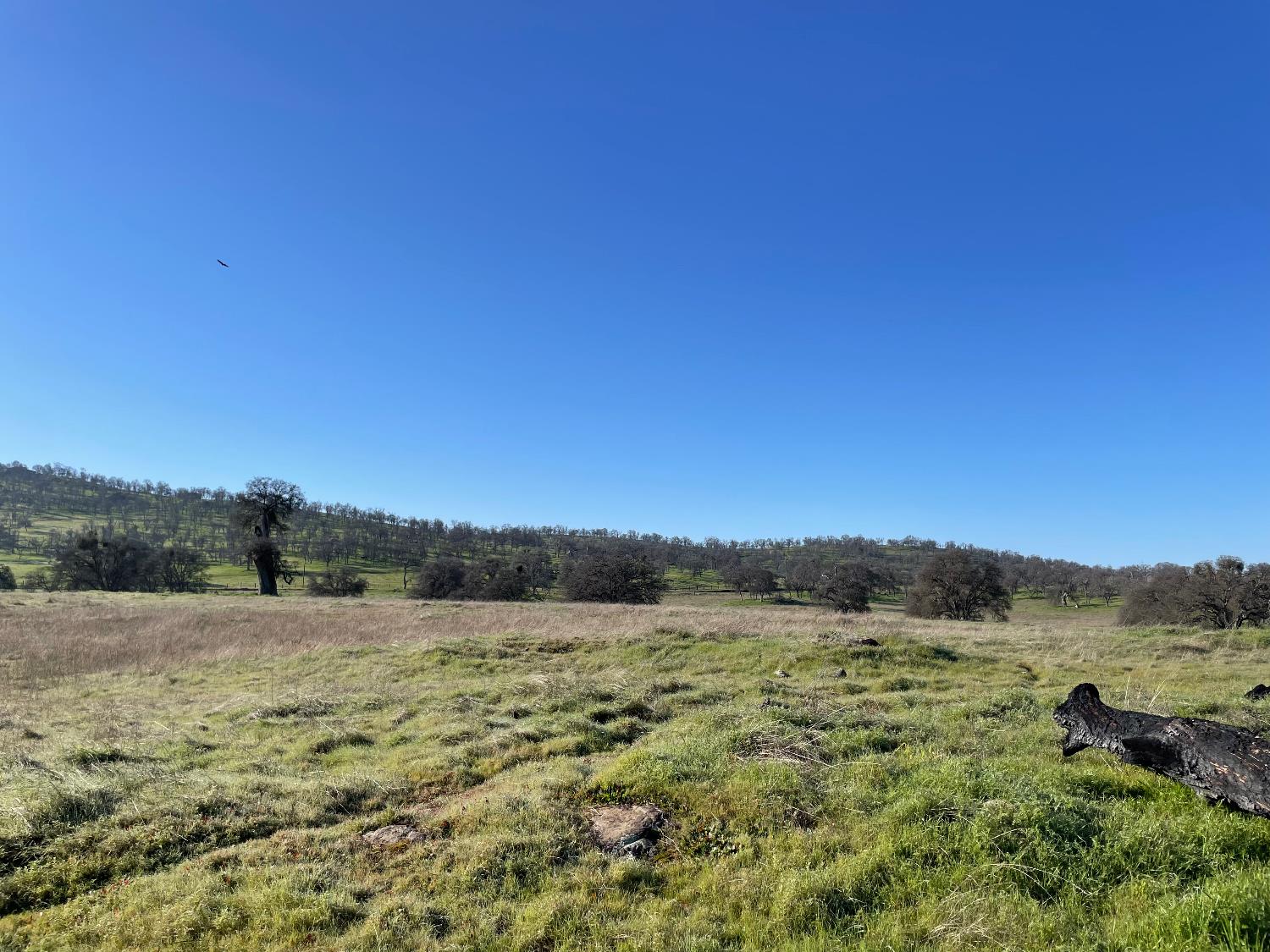 2187 Tinkers Penny Ln, Catheys Valley, CA 95306