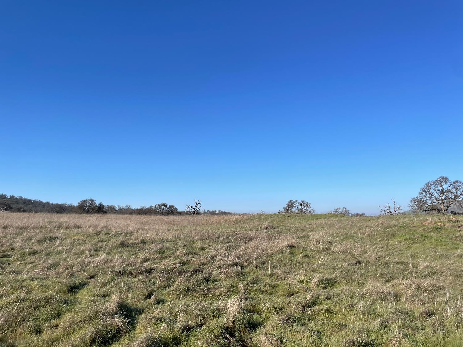 2187 Tinkers Penny Ln, Catheys Valley, CA 95306