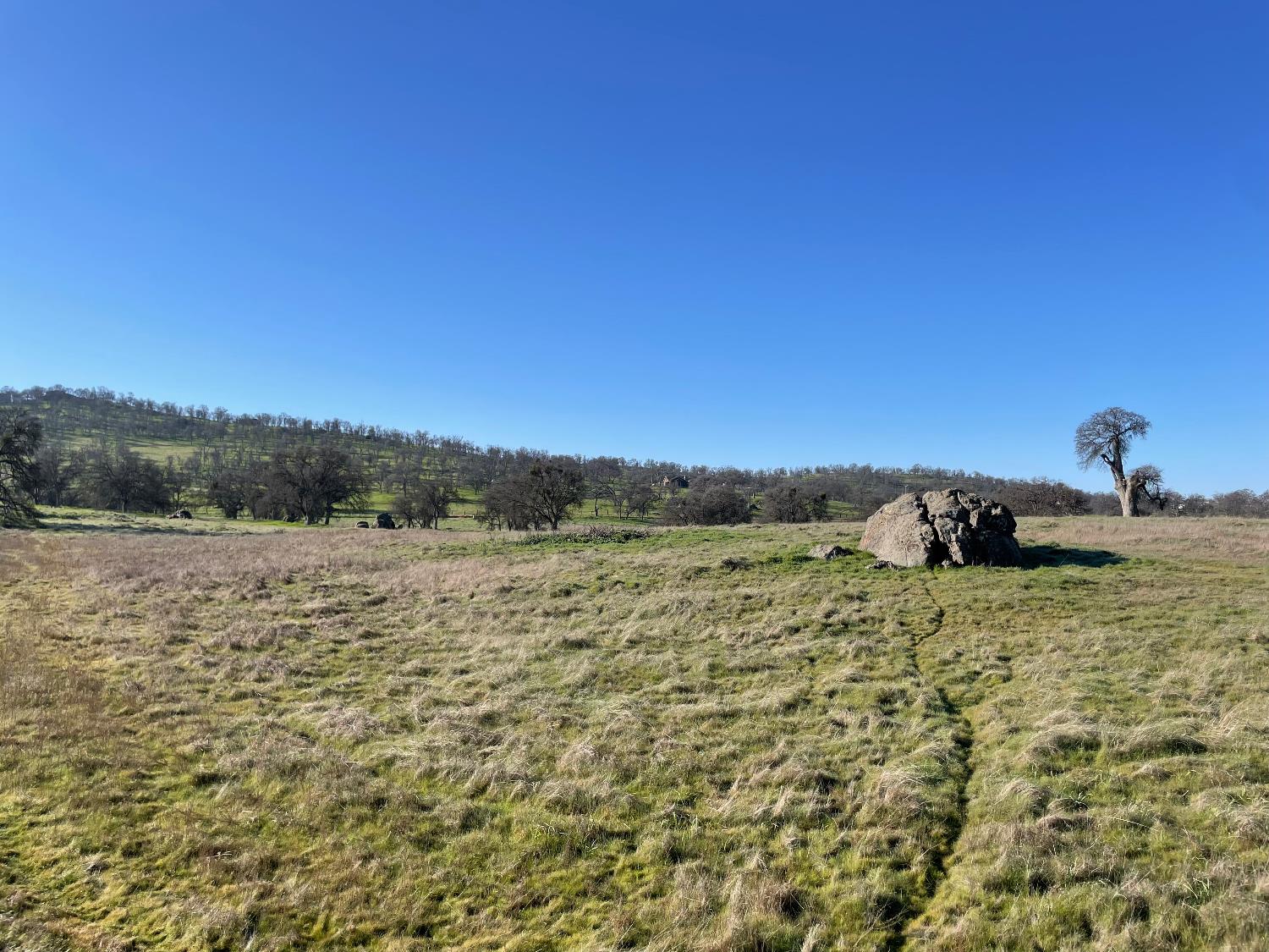 2187 Tinkers Penny Ln, Catheys Valley, CA 95306