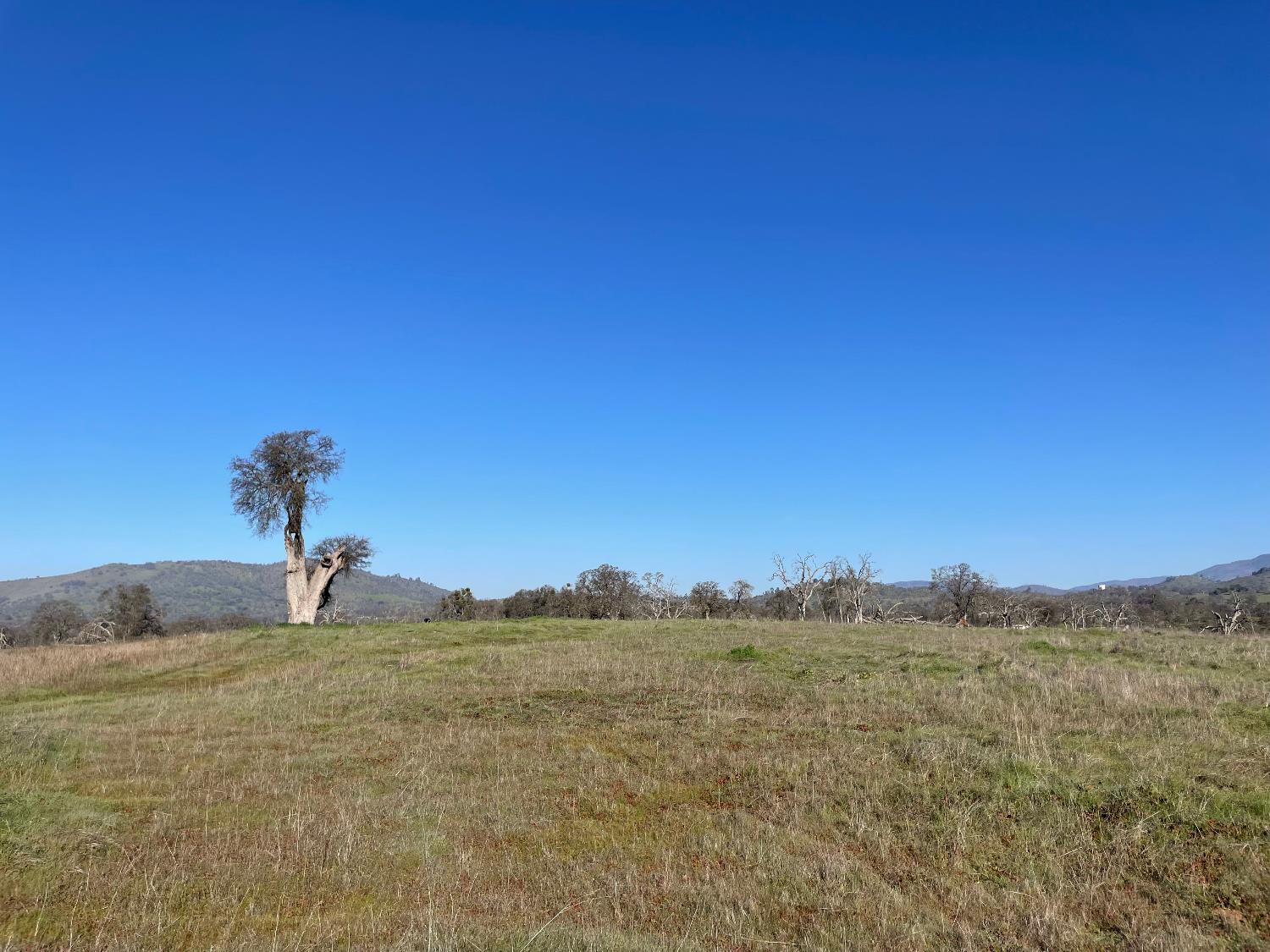 2187 Tinkers Penny Ln, Catheys Valley, CA 95306