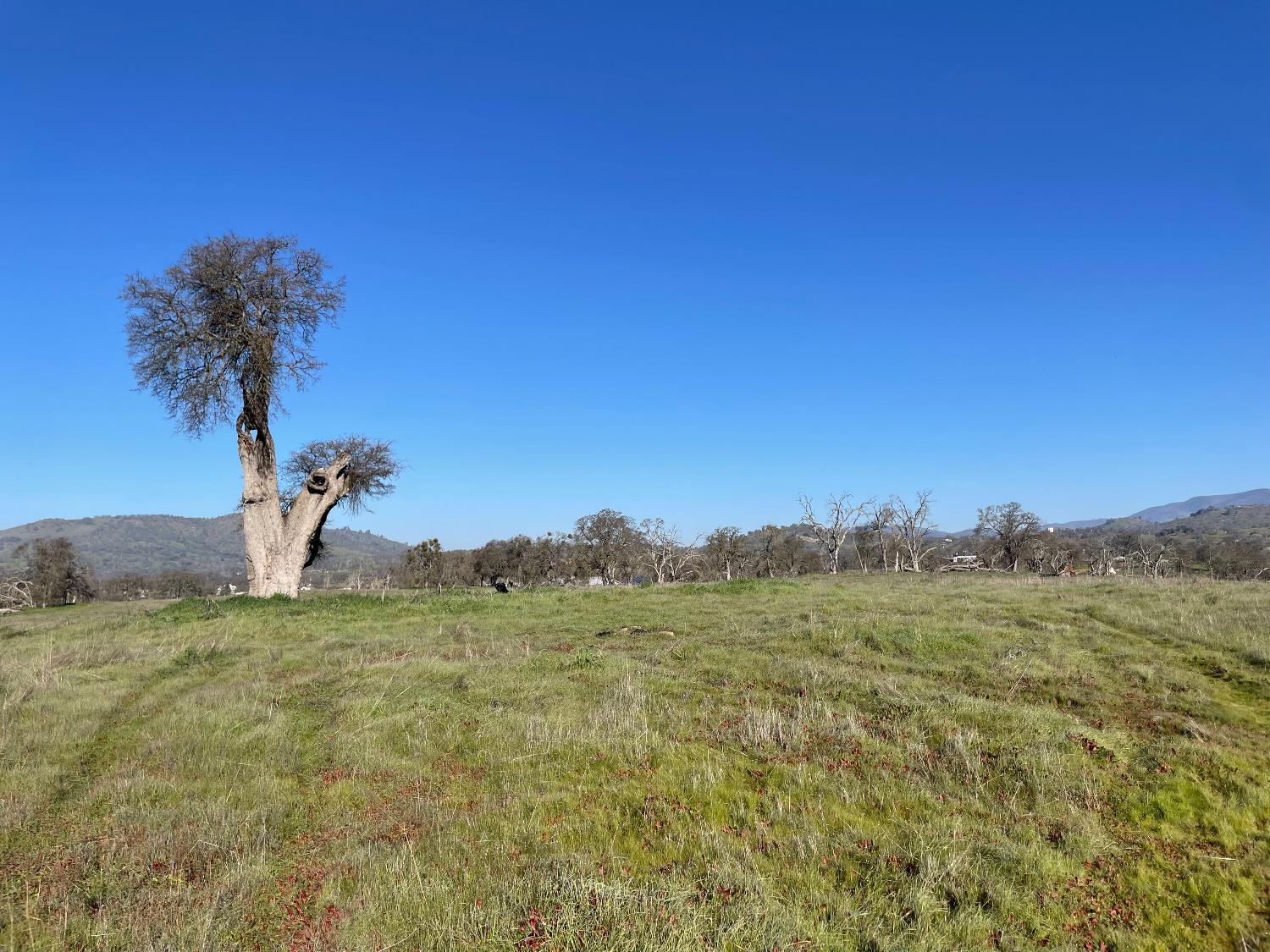 2187 Tinkers Penny Ln, Catheys Valley, CA 95306