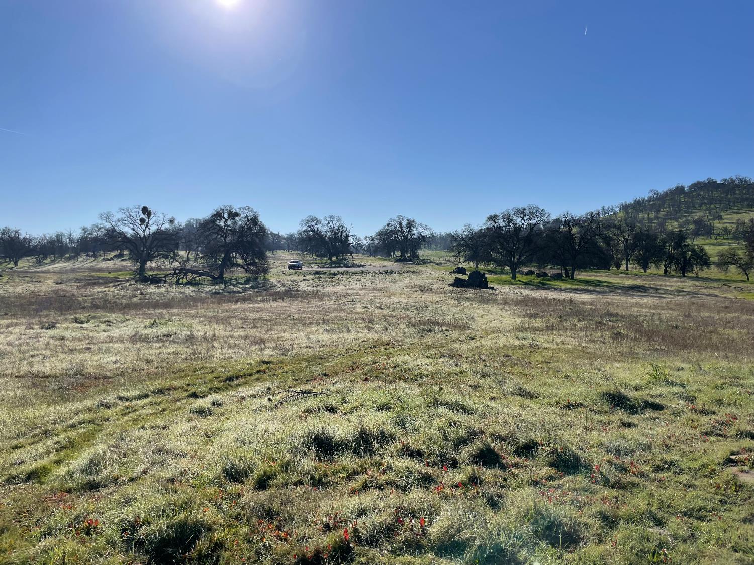 2187 Tinkers Penny Ln, Catheys Valley, CA 95306